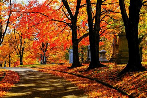 america fall season|best fall foliage in usa.